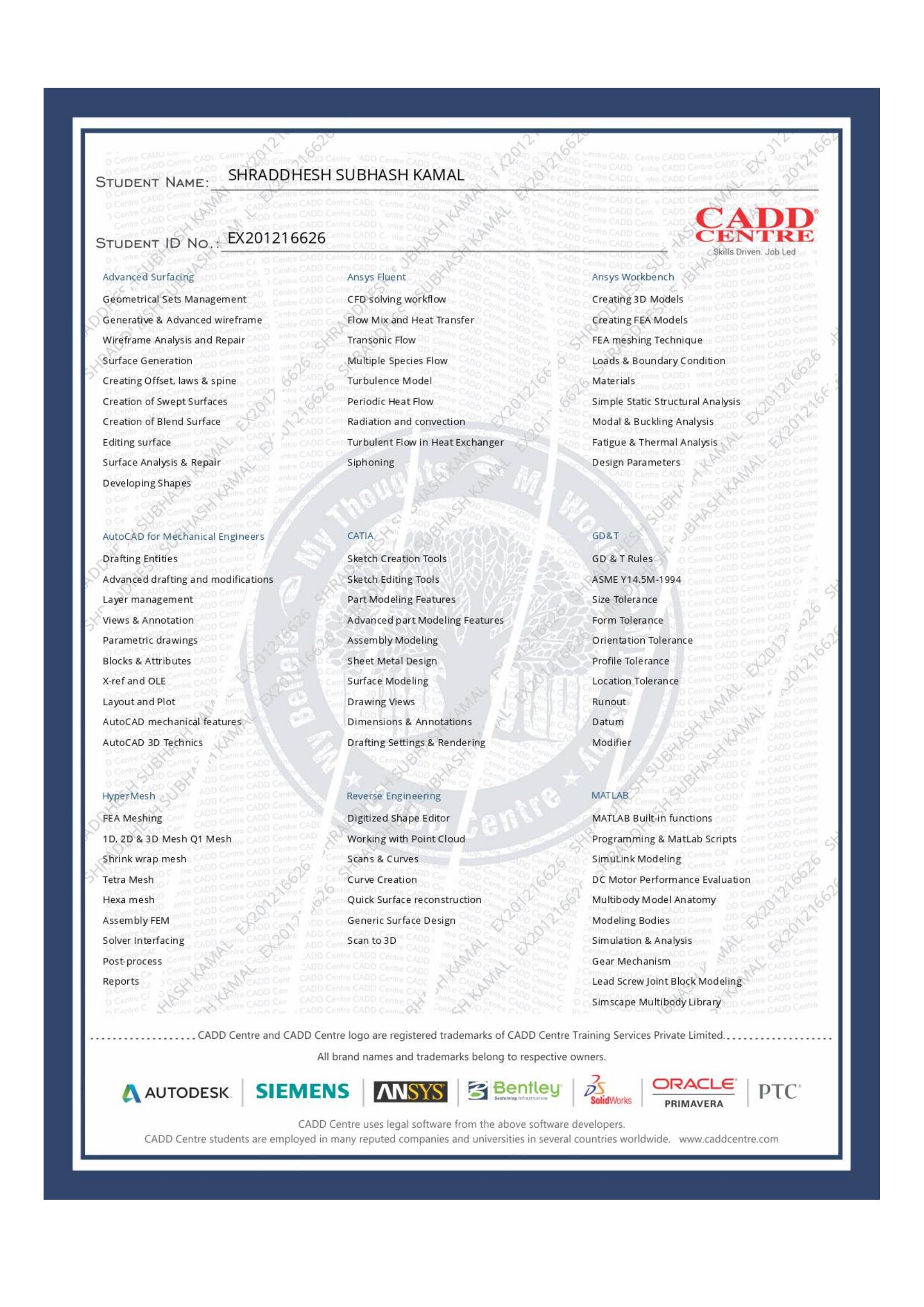 Expert in Automotive Design